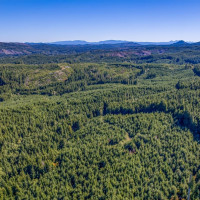 6 Parpala Road, Naselle, WA 98638