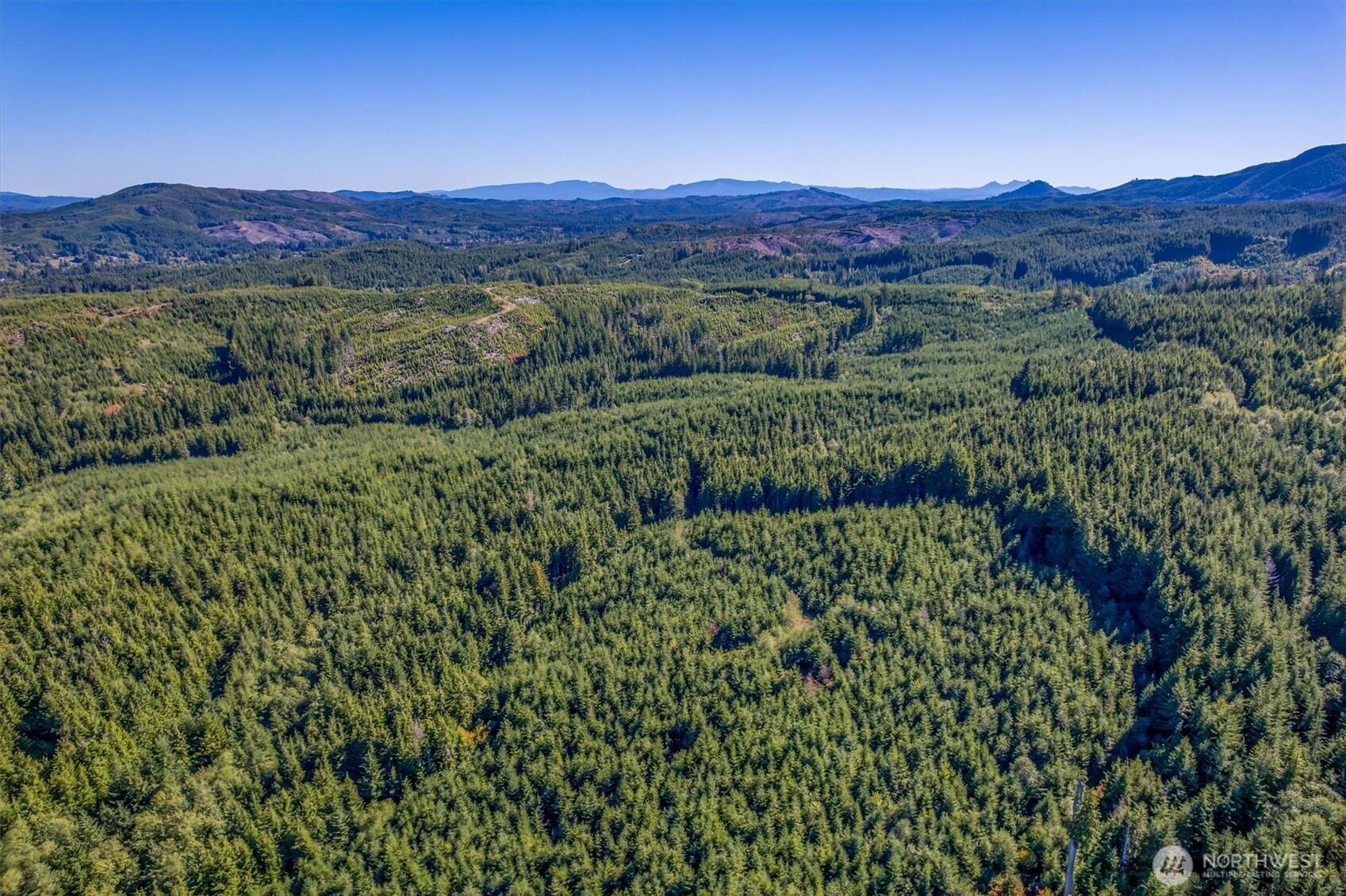 6 Parpala Road, Naselle, WA 98638