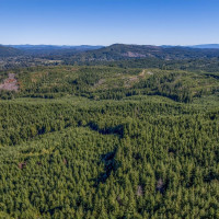 6 Parpala Road, Naselle, WA 98638