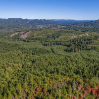 6 Parpala Road, Naselle, WA 98638