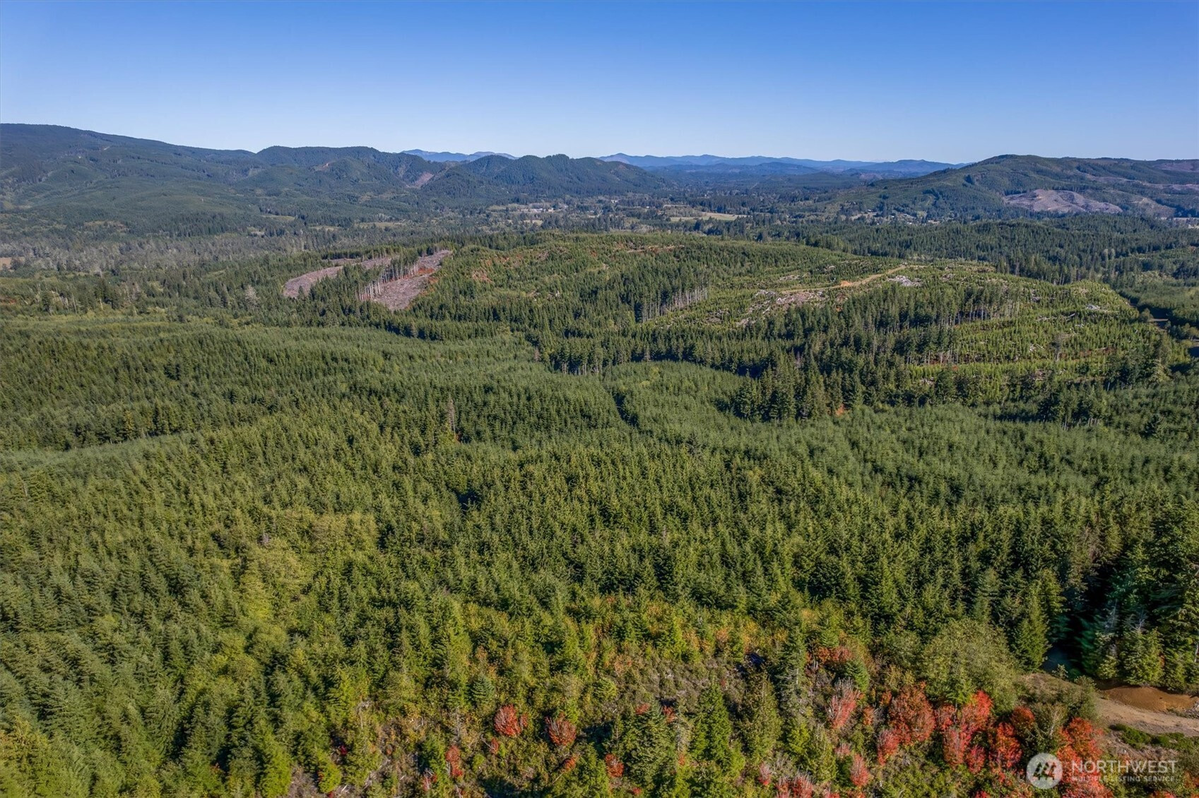 6 Parpala Road, Naselle, WA 98638