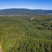 6 Parpala Road, Naselle, WA 98638