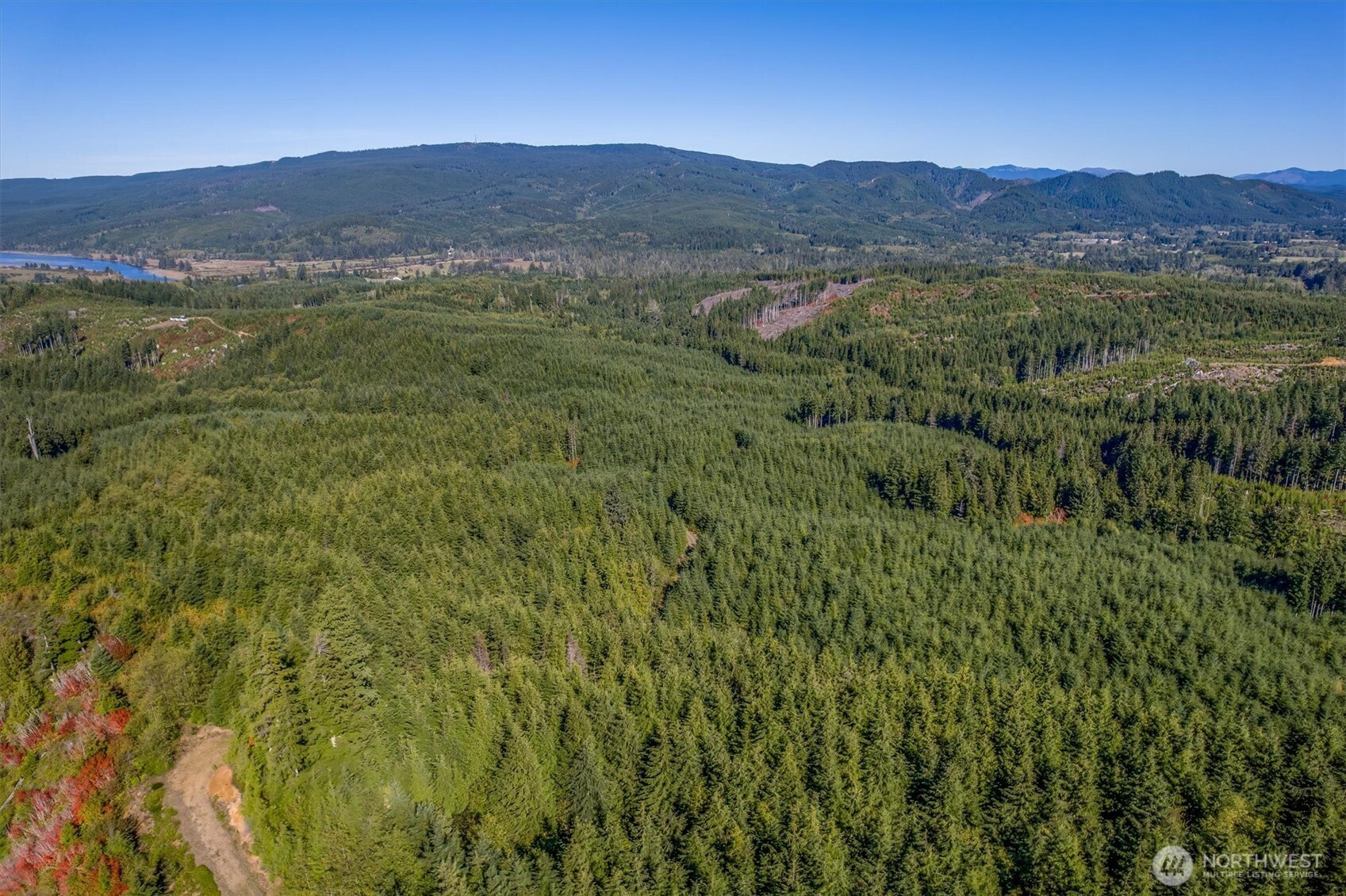 6 Parpala Road, Naselle, WA 98638