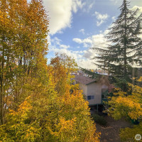 1006 N 39th Street, Seattle, WA 98103