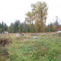 12519 288th Street E, Graham, WA 98033