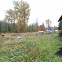 12519 288th Street E, Graham, WA 98033