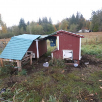 12519 288th Street E, Graham, WA 98033