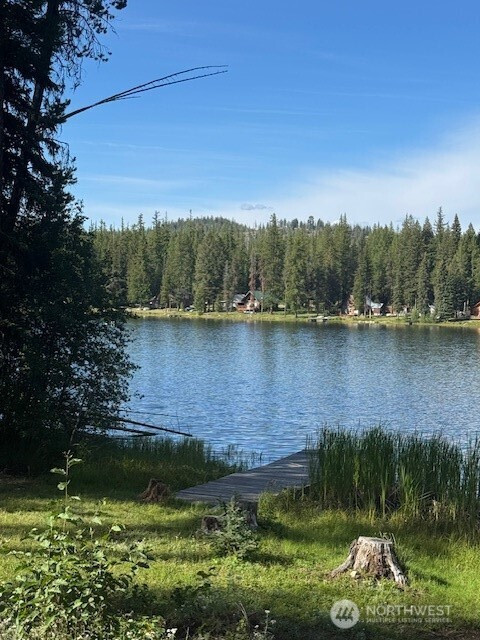 478 Thompson Road, Riverside, WA 98849