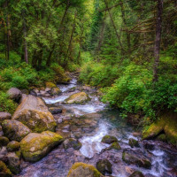 604 Blueberry Lane, Gold Bar, WA 98251