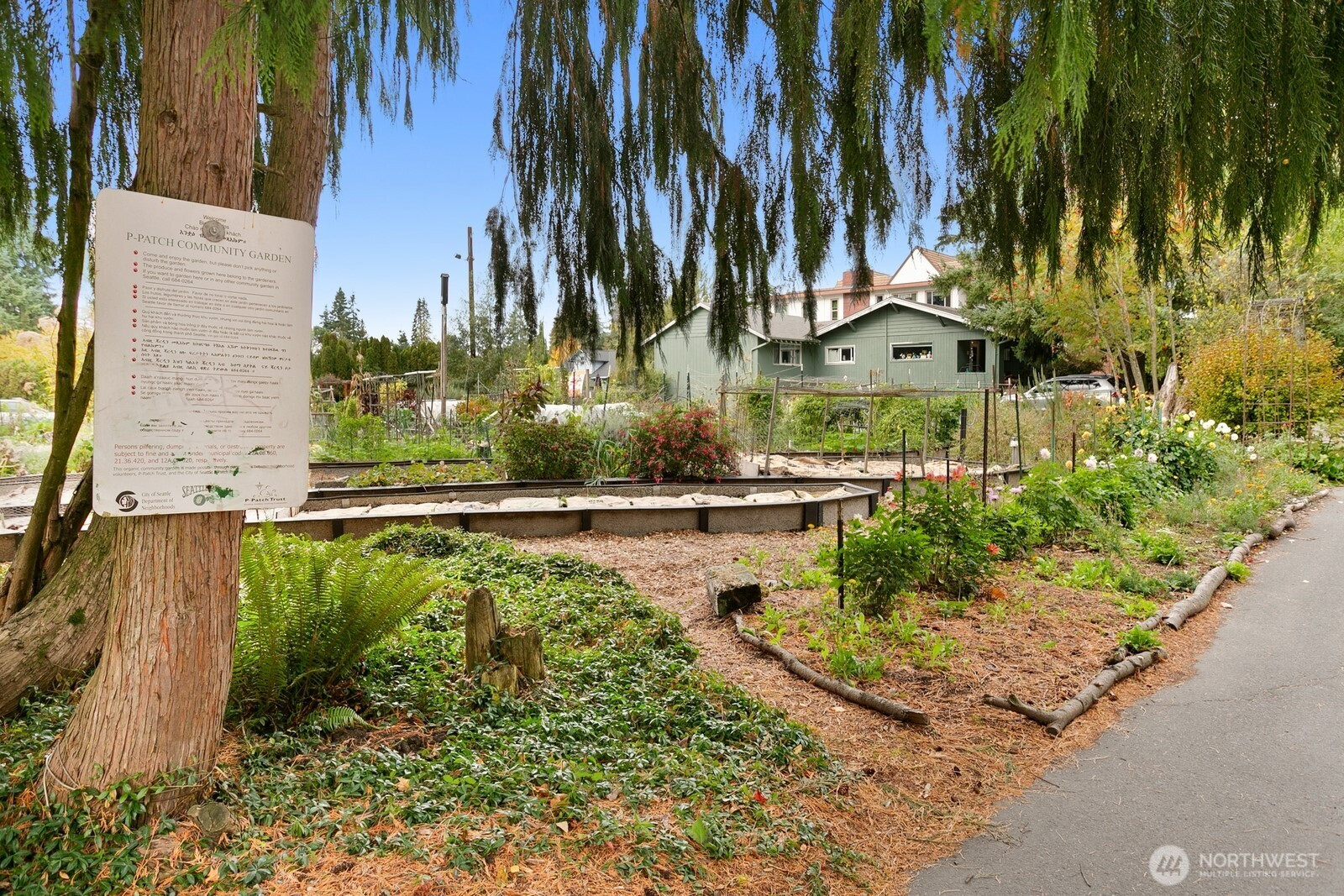 2356 N 130th Street, Seattle, WA 98125