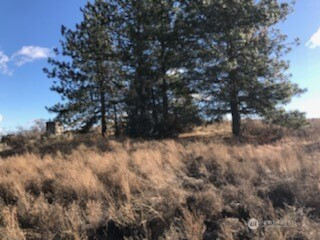 39680 -5 Star Barn Road N, Davenport, WA 99122