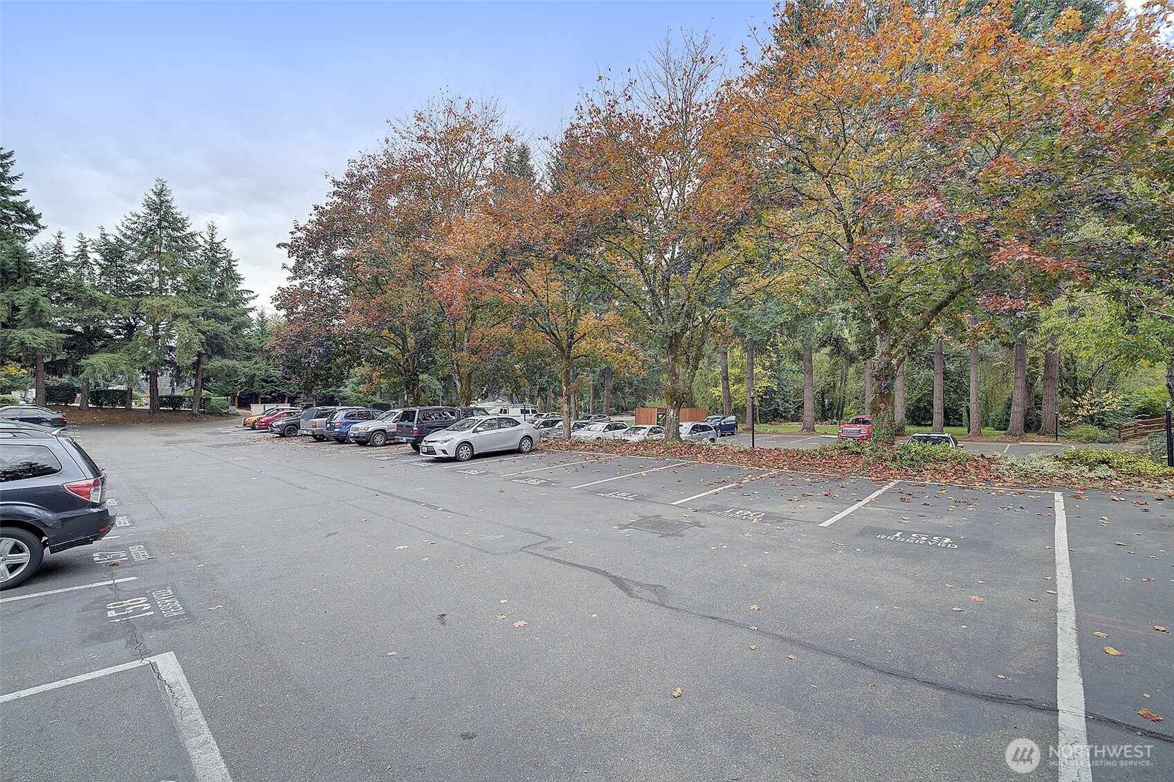 9900 NE 124th Street, Kirkland, WA 98034