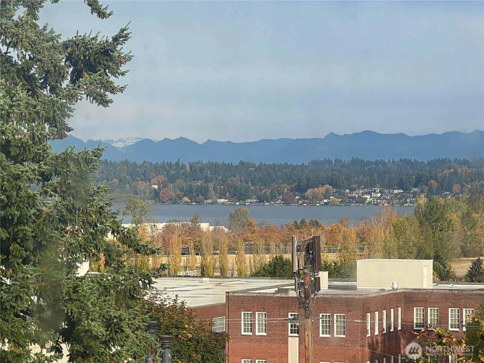 7332 58th Avenue NE, Seattle, WA 98115