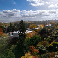 7332 58th Avenue NE, Seattle, WA 98115