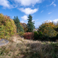 7332 58th Avenue NE, Seattle, WA 98115