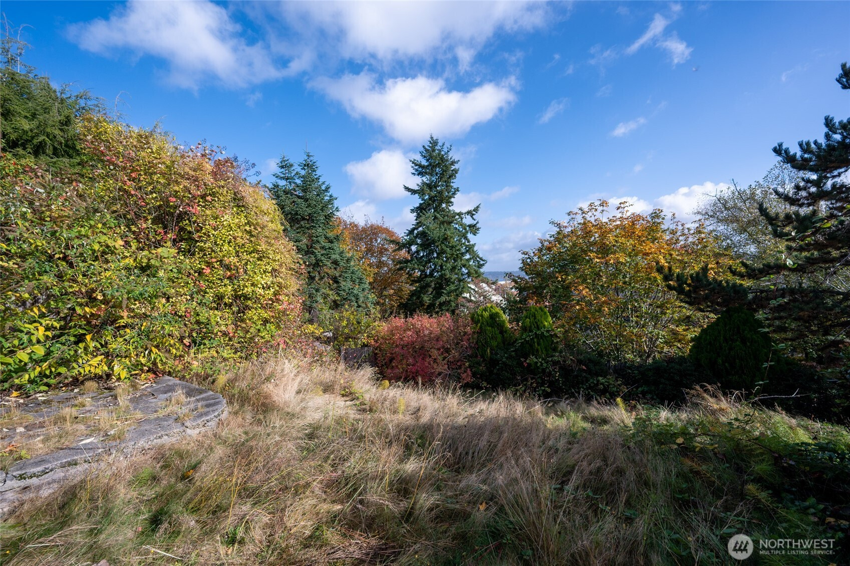 7332 58th Avenue NE, Seattle, WA 98115