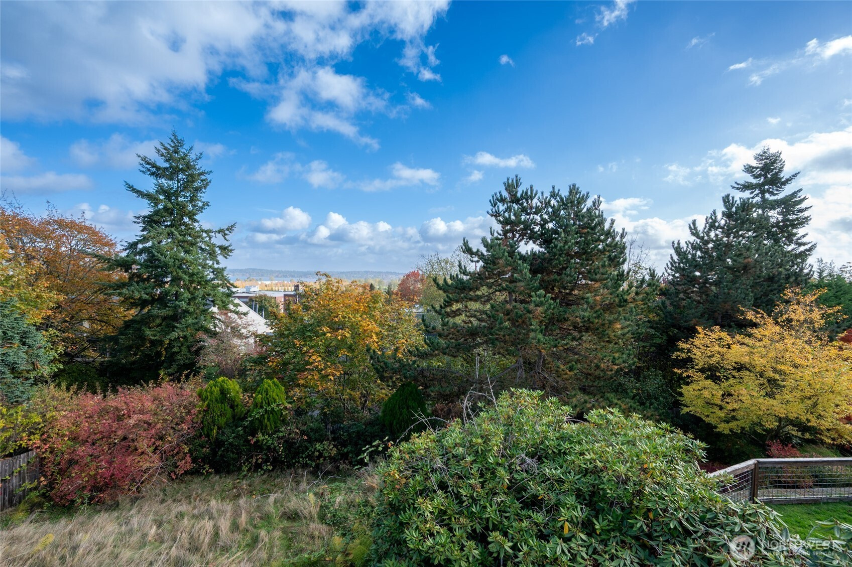 7332 58th Avenue NE, Seattle, WA 98115