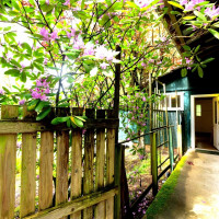 165 Duck Soup Lane, Friday Harbor, WA 98250