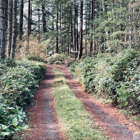 165 Duck Soup Lane, Friday Harbor, WA 98250