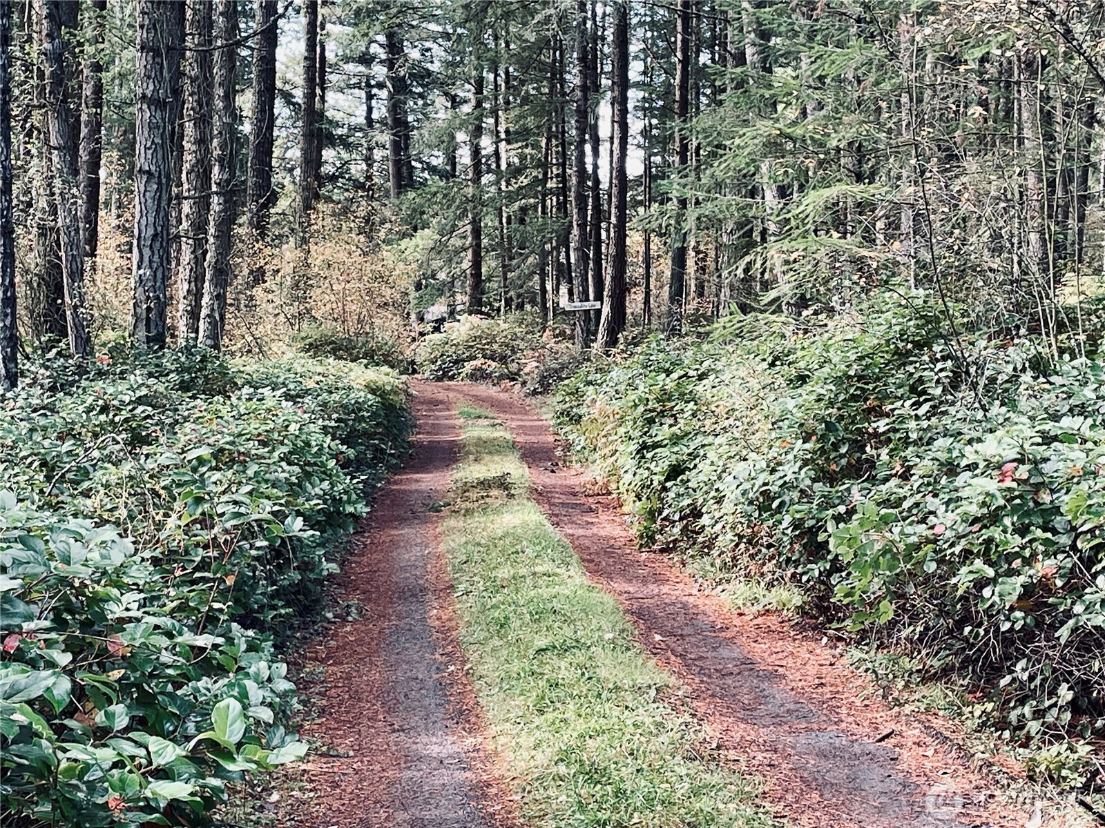 165 Duck Soup Lane, Friday Harbor, WA 98250