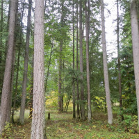 36201 S 62nd Avenue, Roy, WA 98407