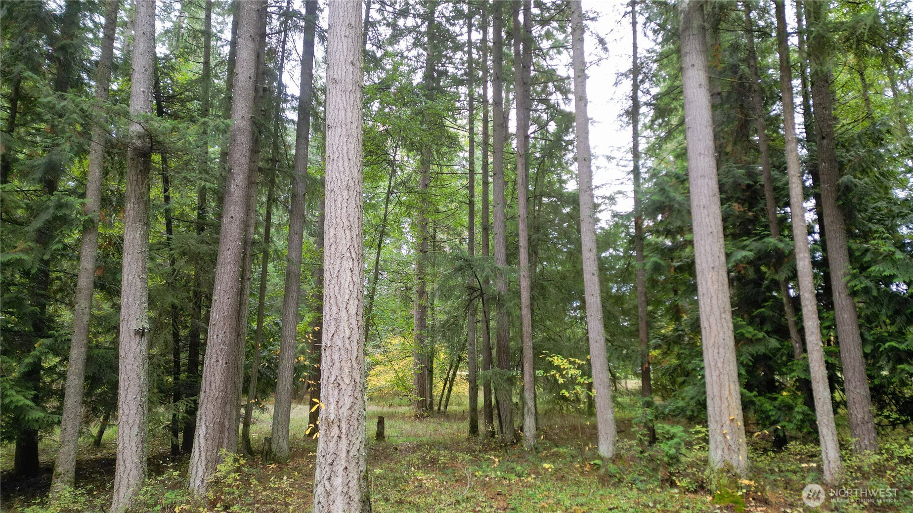 36201 S 62nd Avenue, Roy, WA 98407