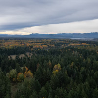 36201 S 62nd Avenue, Roy, WA 98407