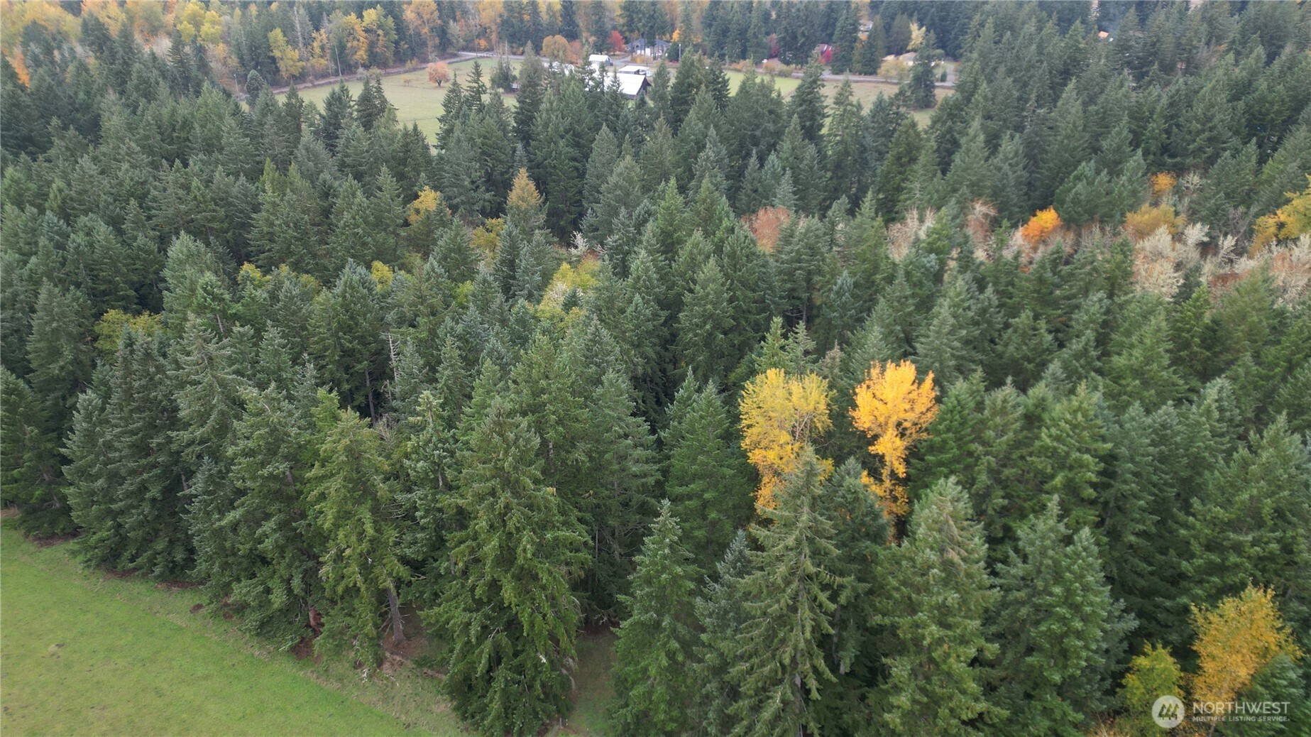 36201 S 62nd Avenue, Roy, WA 98407