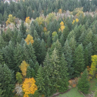 36201 S 62nd Avenue, Roy, WA 98407