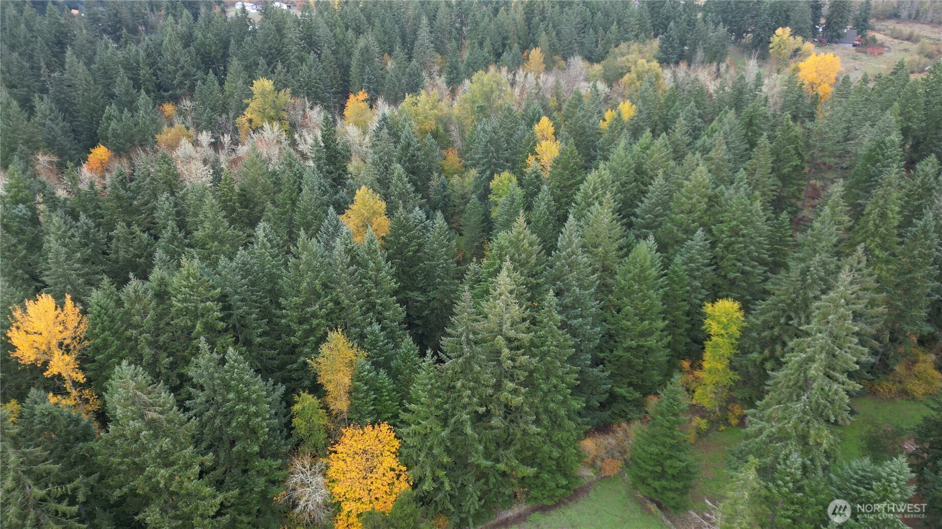 36201 S 62nd Avenue, Roy, WA 98407