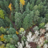 36201 S 62nd Avenue, Roy, WA 98407