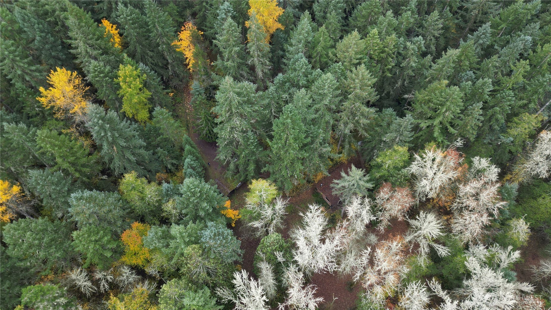 36201 S 62nd Avenue, Roy, WA 98407