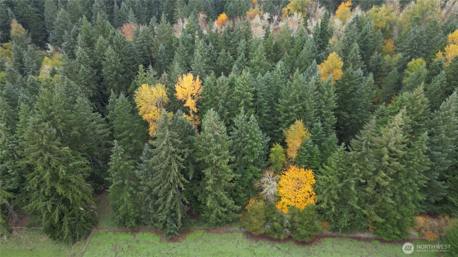 36201 S 62nd Avenue, Roy, WA 98407