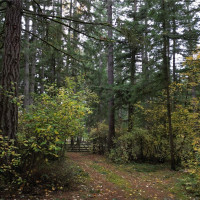 36201 S 62nd Avenue, Roy, WA 98407