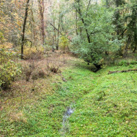 36201 S 62nd Avenue, Roy, WA 98407