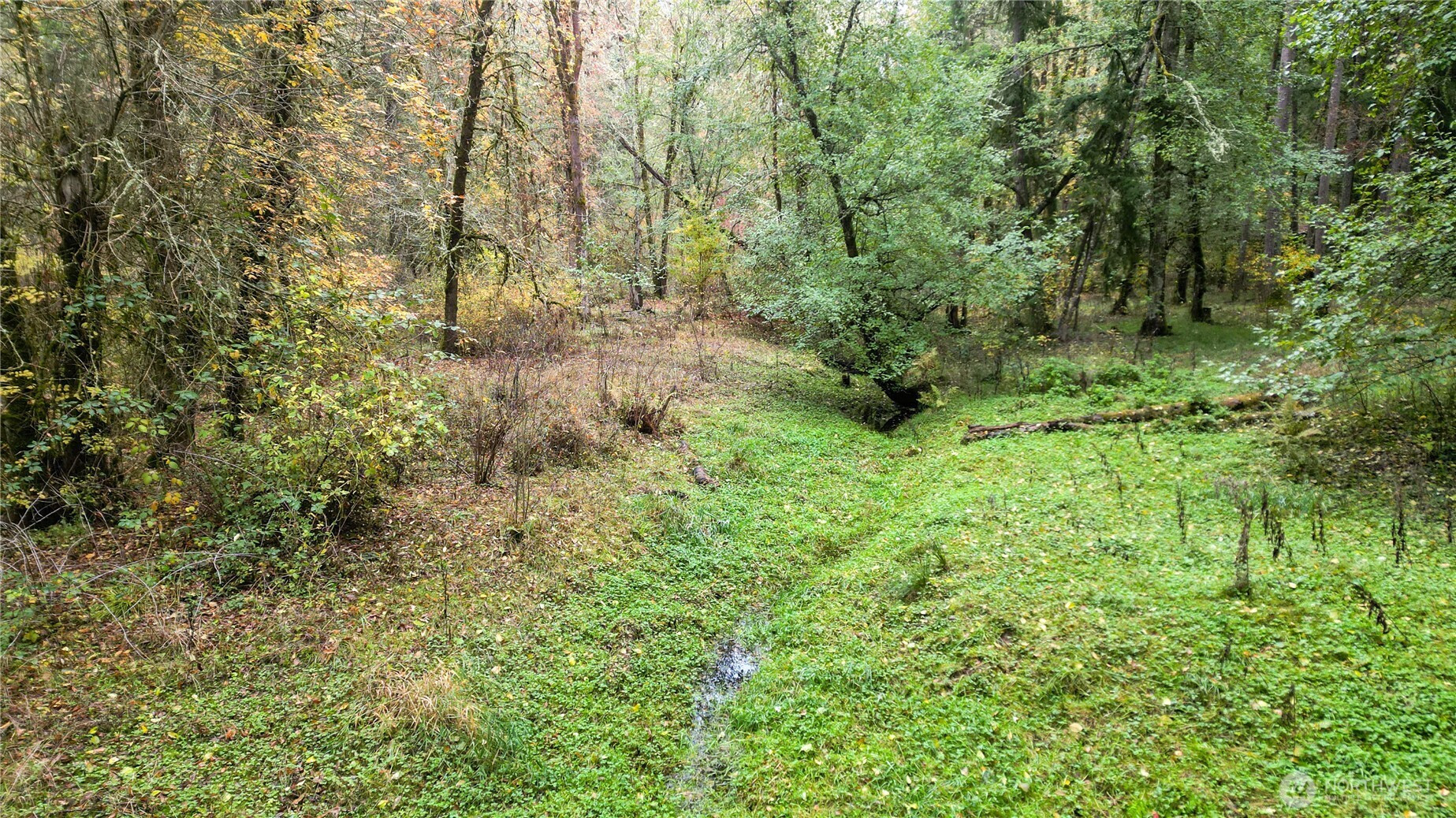 36201 S 62nd Avenue, Roy, WA 98407