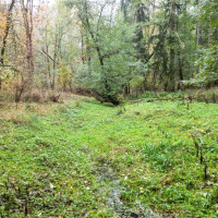 36201 S 62nd Avenue, Roy, WA 98407