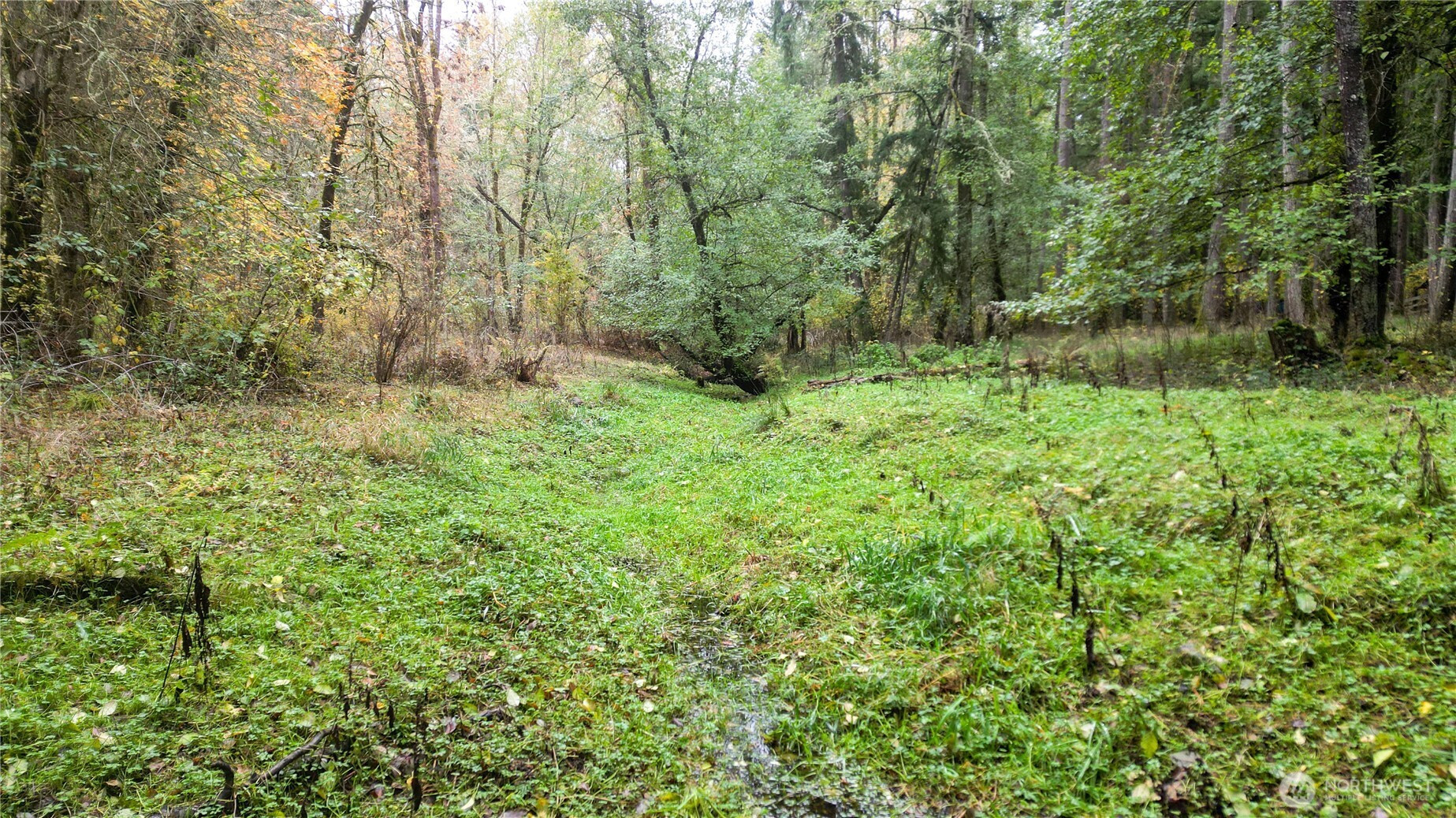 36201 S 62nd Avenue, Roy, WA 98407