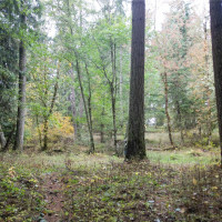 36201 S 62nd Avenue, Roy, WA 98407