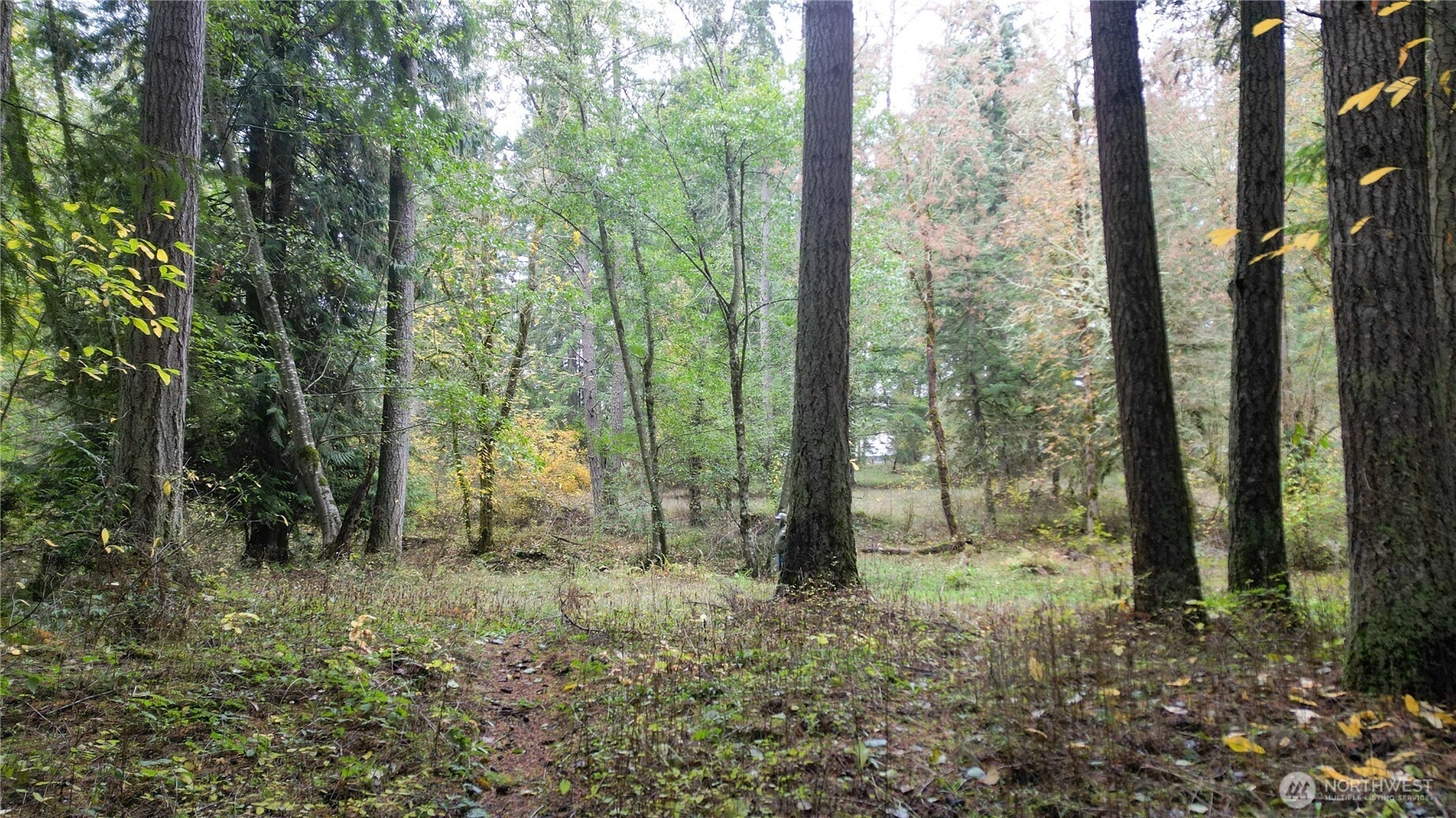 36201 S 62nd Avenue, Roy, WA 98407