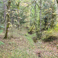 36201 S 62nd Avenue, Roy, WA 98407