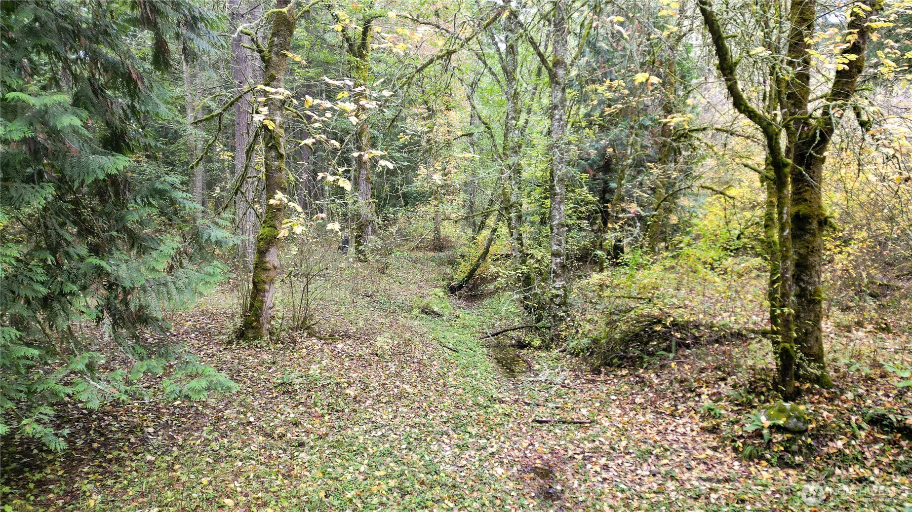 36201 S 62nd Avenue, Roy, WA 98407