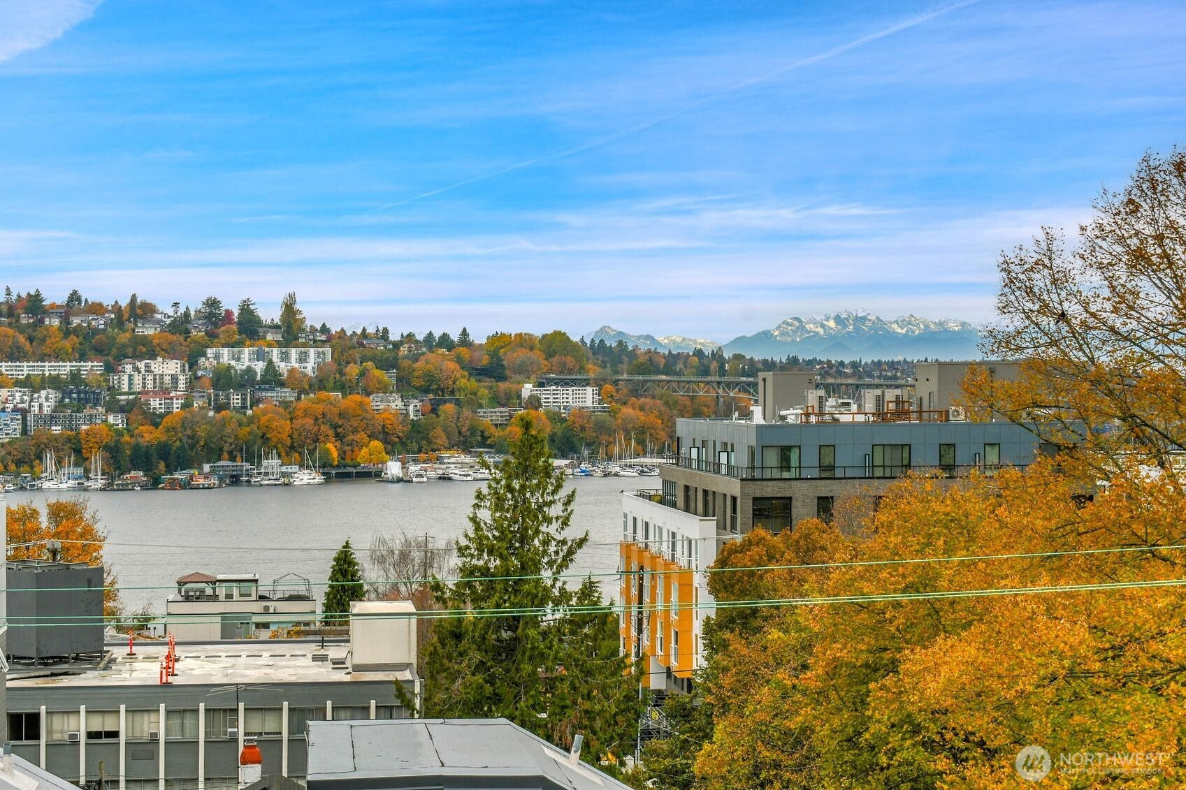 261 E Louisa Street, Seattle, WA 98102