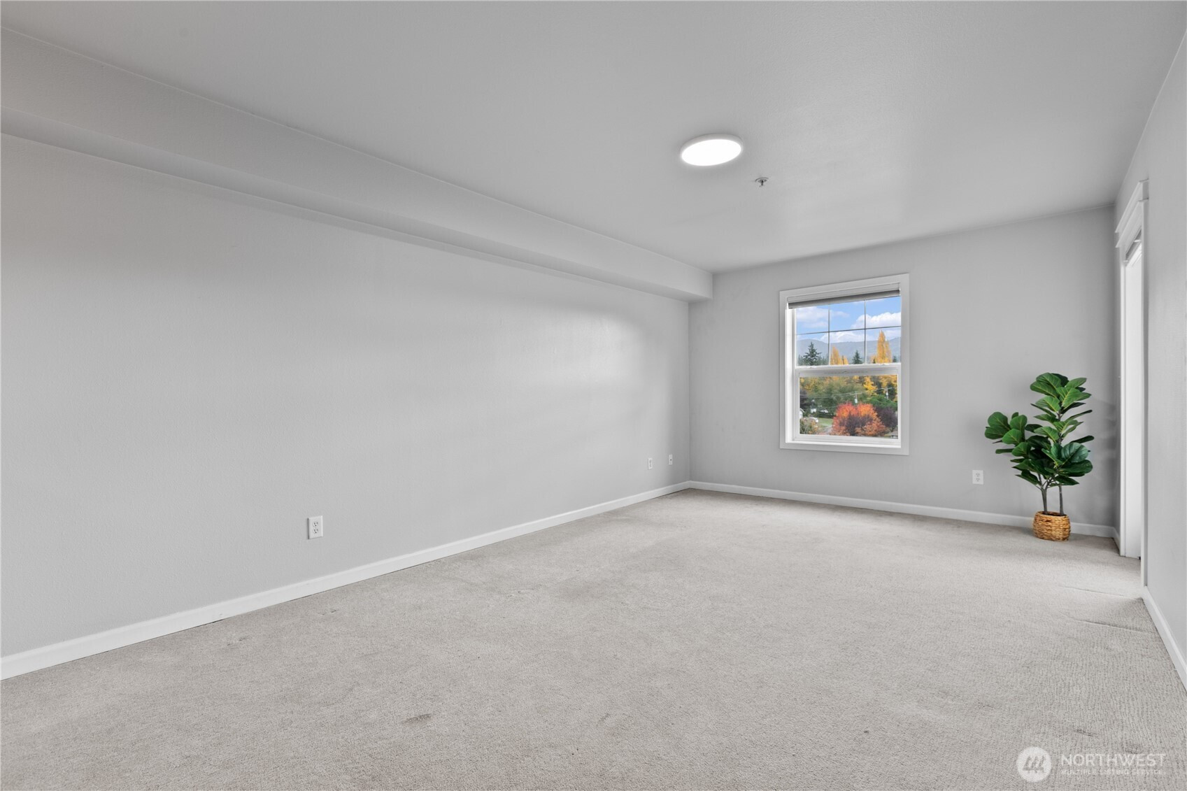 700 32nd Street, Bellingham, WA 98225