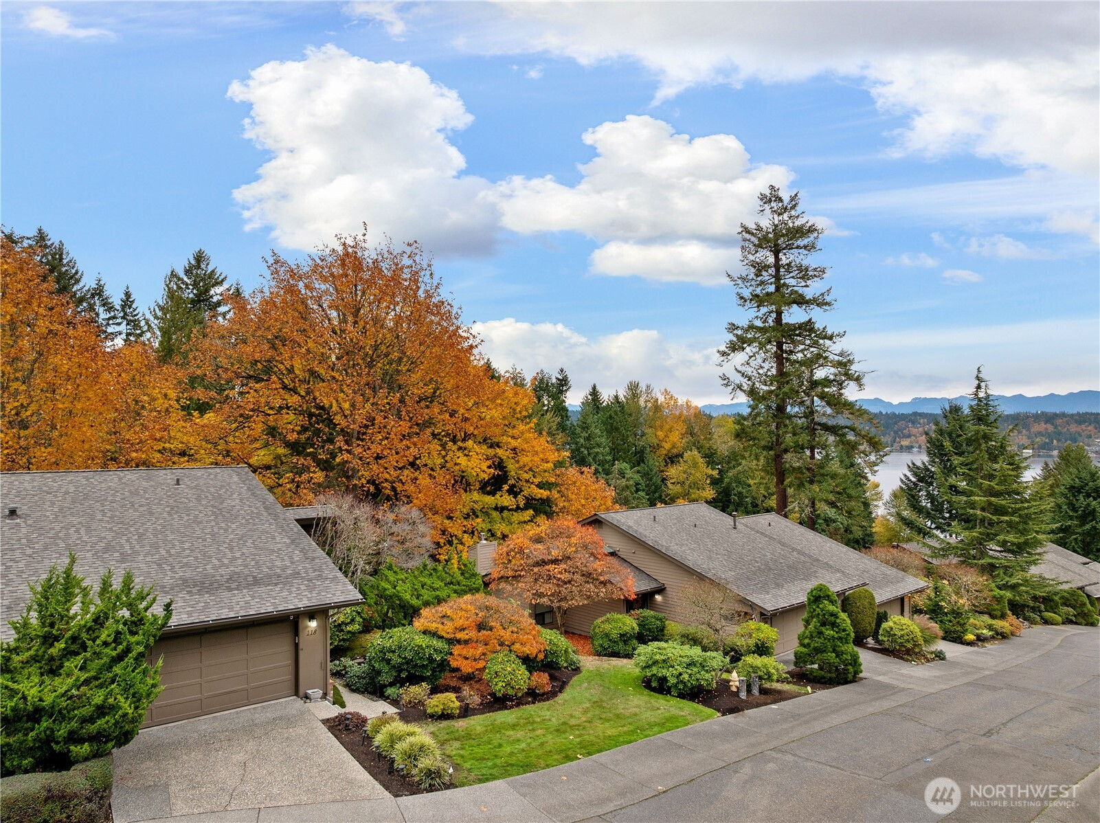 118 168th Avenue NE, Bellevue, WA 98008