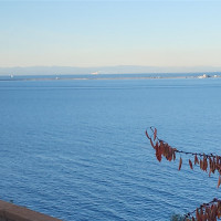 719 Caroline St, Port Angeles, WA 98362