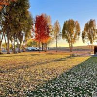 0 Lot 20 Quarter Horse Drive, Ephrata, WA 98823