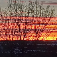 0 Lot 20 Quarter Horse Drive, Ephrata, WA 98823