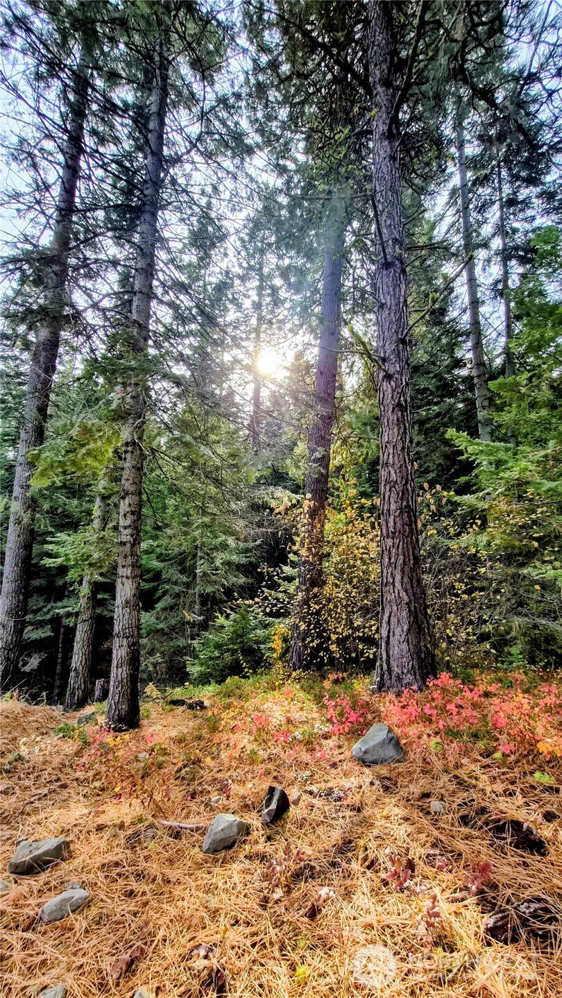 6299 Alder Ct, Wenatchee, WA 98801