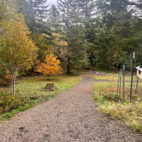 600 E Probert Road, Shelton, WA 98584